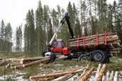 New Komatsu Forwarder working in forest